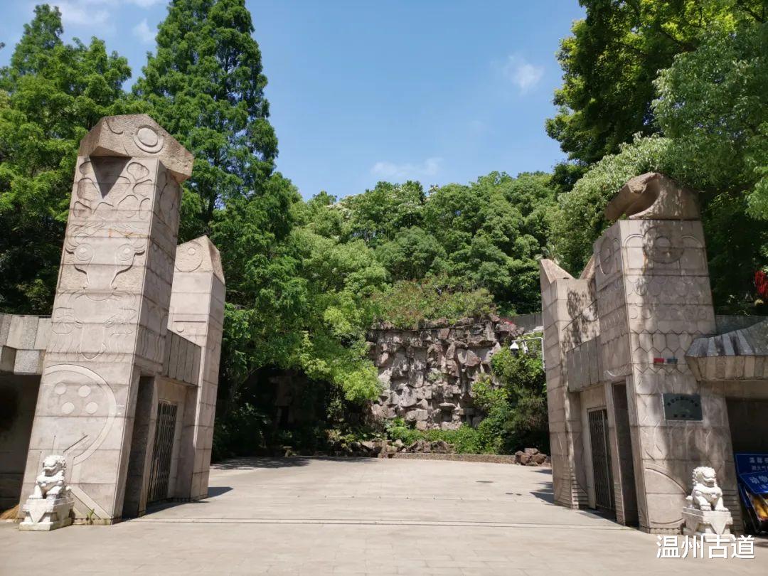 云南|景山的桐花开了!你去看了没有?