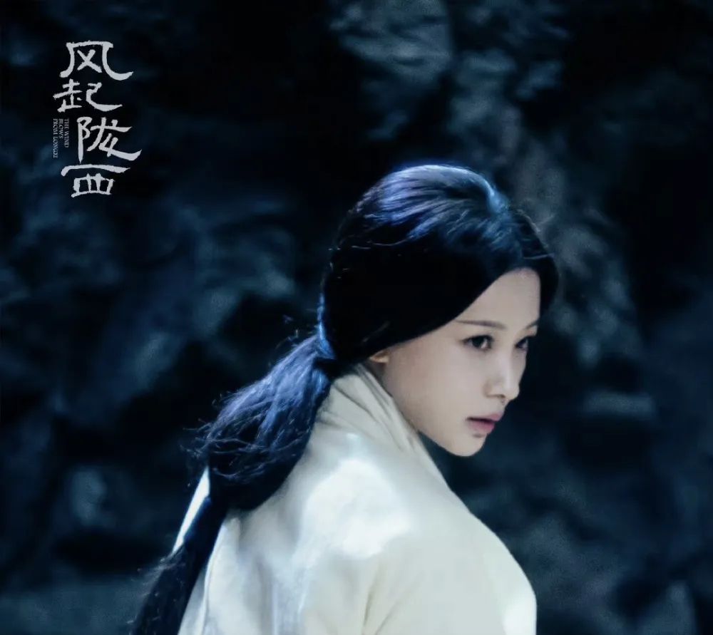 南通|风起陇西：谍战剧还是职场剧？不要轻易定性，这才是真实的历史