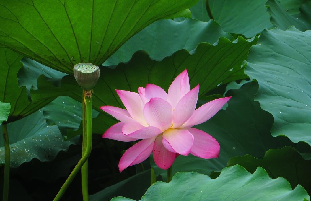 家政业|2023年初：坚持踏实努力的人，必将会时来运转