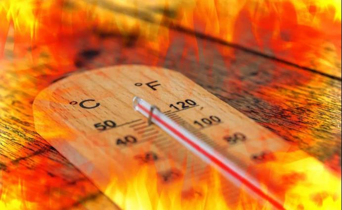 科学家提出大胆设想:巴西雨林砍伐猛增67%,高温根源已找到?