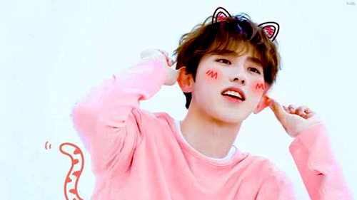 奔跑吧兄弟|新一季《奔跑吧》你还会追吗?看完“四有”再说