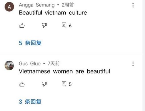 无耻！河南卫视舞蹈被盗光，B站视频也遭搬空：越南人狂偷中国古风