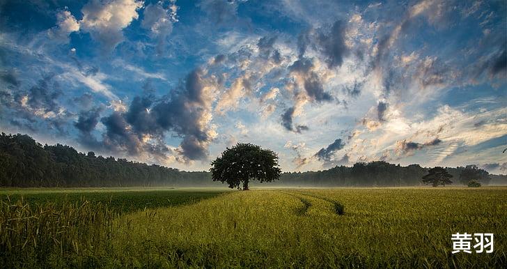 创投圈|如何高效做企业新媒体获客内容？我来帮你