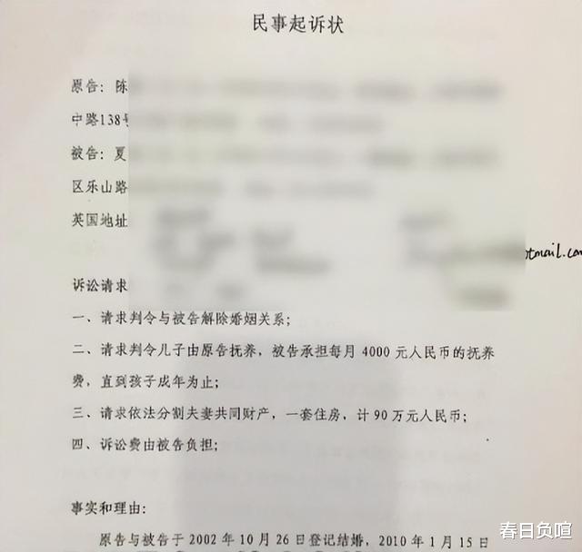 儿子去世6年,婆婆3次将儿媳告上法庭,法庭上意外揭露儿子秘密