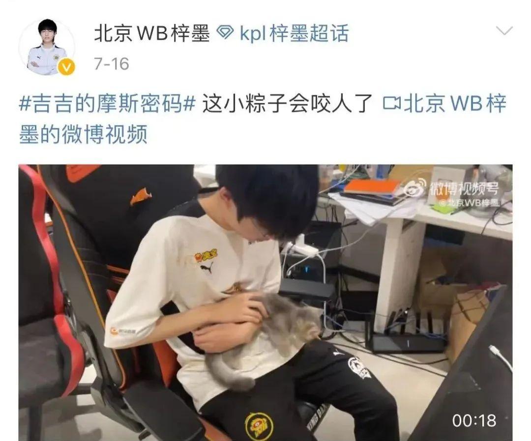 电子竞技|一头扎进职业电竞的年轻人：正在当打之年