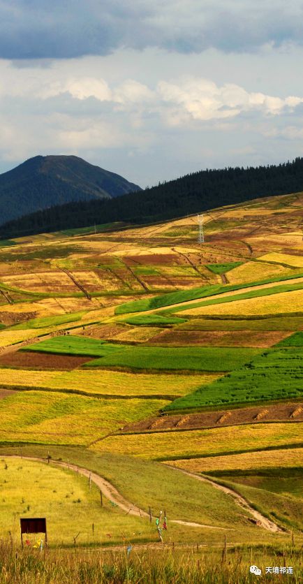 千山|秋染原野，群山白头，这个地方美醉了太多人！