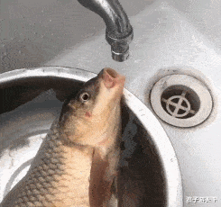 售楼处卫生间的烟头为什么是这样放的,网友真相了!