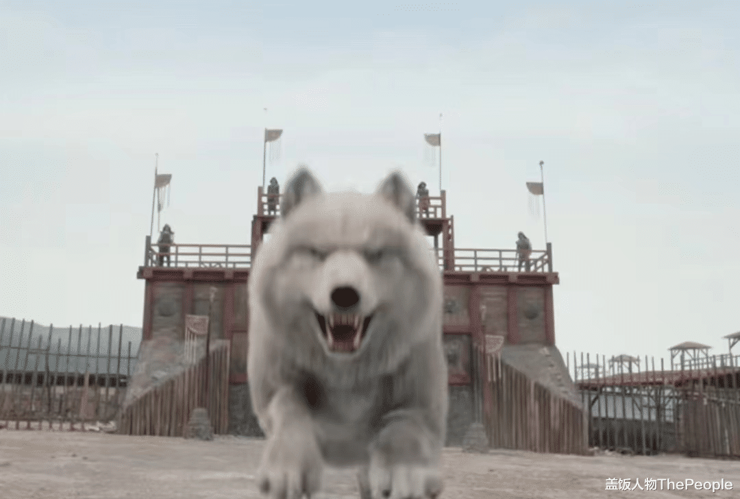 冯绍峰|演艺圈，留给冯绍峰的时间，不多了