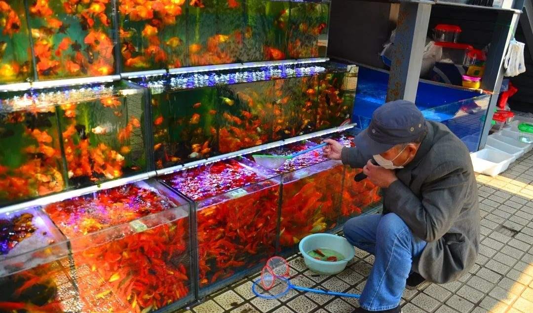 05年河南女孩发现一陌生男子长得像爸爸,查DNA后发现是自己亲叔