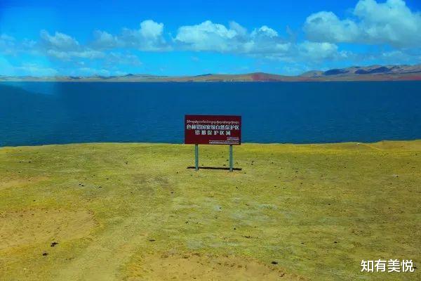 草原|国内12个最值得去的初夏绝美旅行地，快带上ta来场久违的旅行！