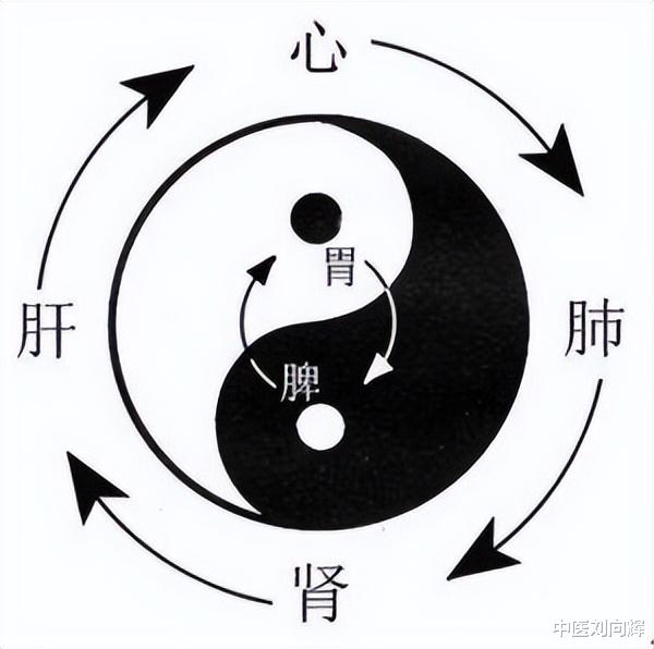 健脾|常见误区:尿浑发白是肾阳虚?多是脾气下陷,教你补脾 升清 固尿