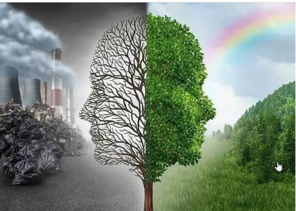 蒂姆·邓肯|【职场家庭丨疫情下,我们普通人最需要思考的一个问题