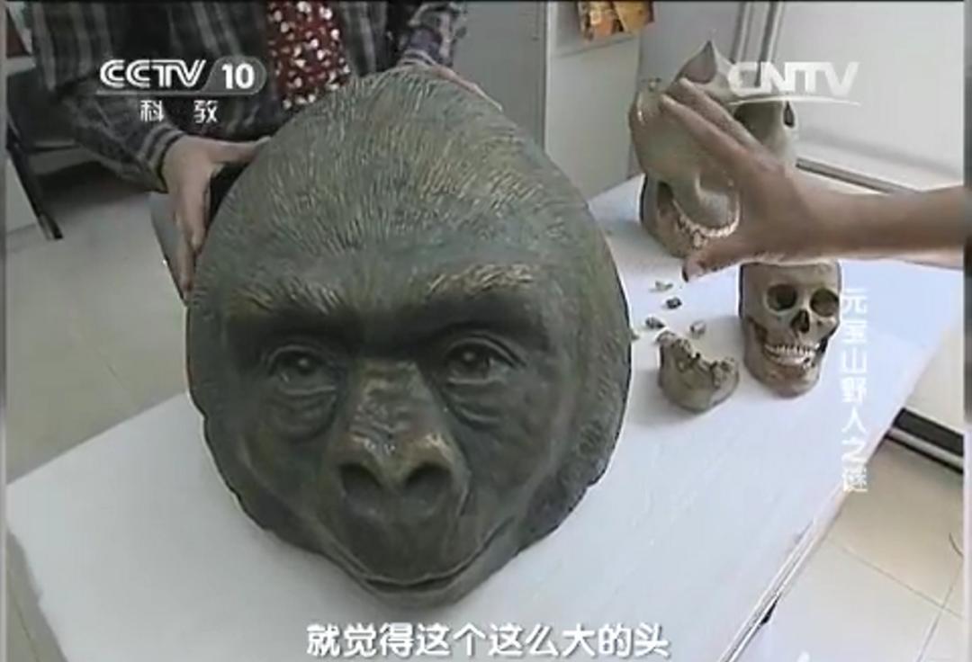 1993年,村民被野人掳走10天后才回家,为探究真相调查组展开考察