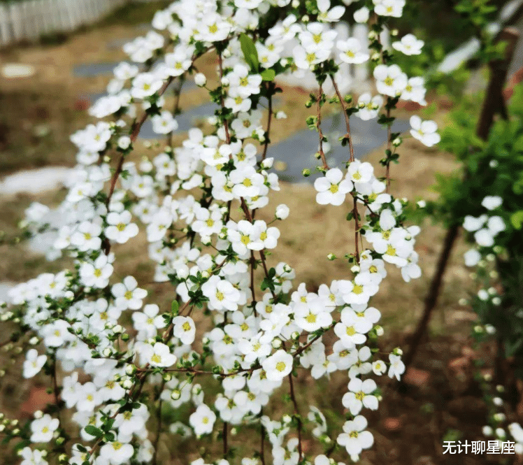 办公室|2月下旬,4个星座,搞好职场人际关系,有望升职加薪