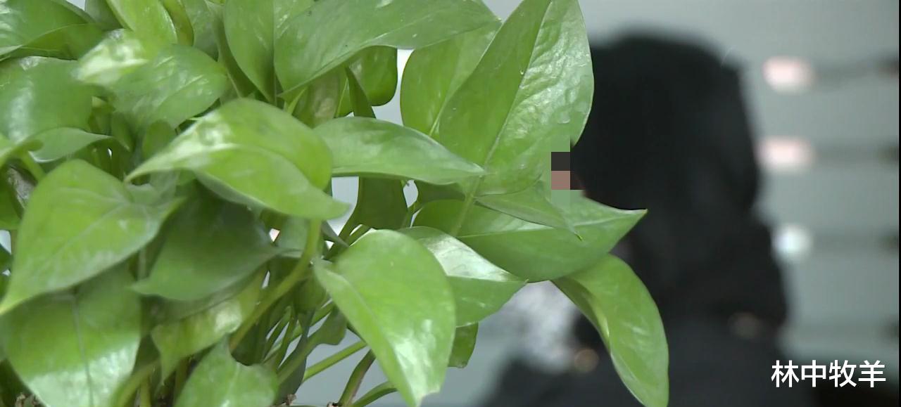 浙江台州:女子因纠纷将前夫骗至路桥一出租屋杀害!其犯罪手段令人胆寒