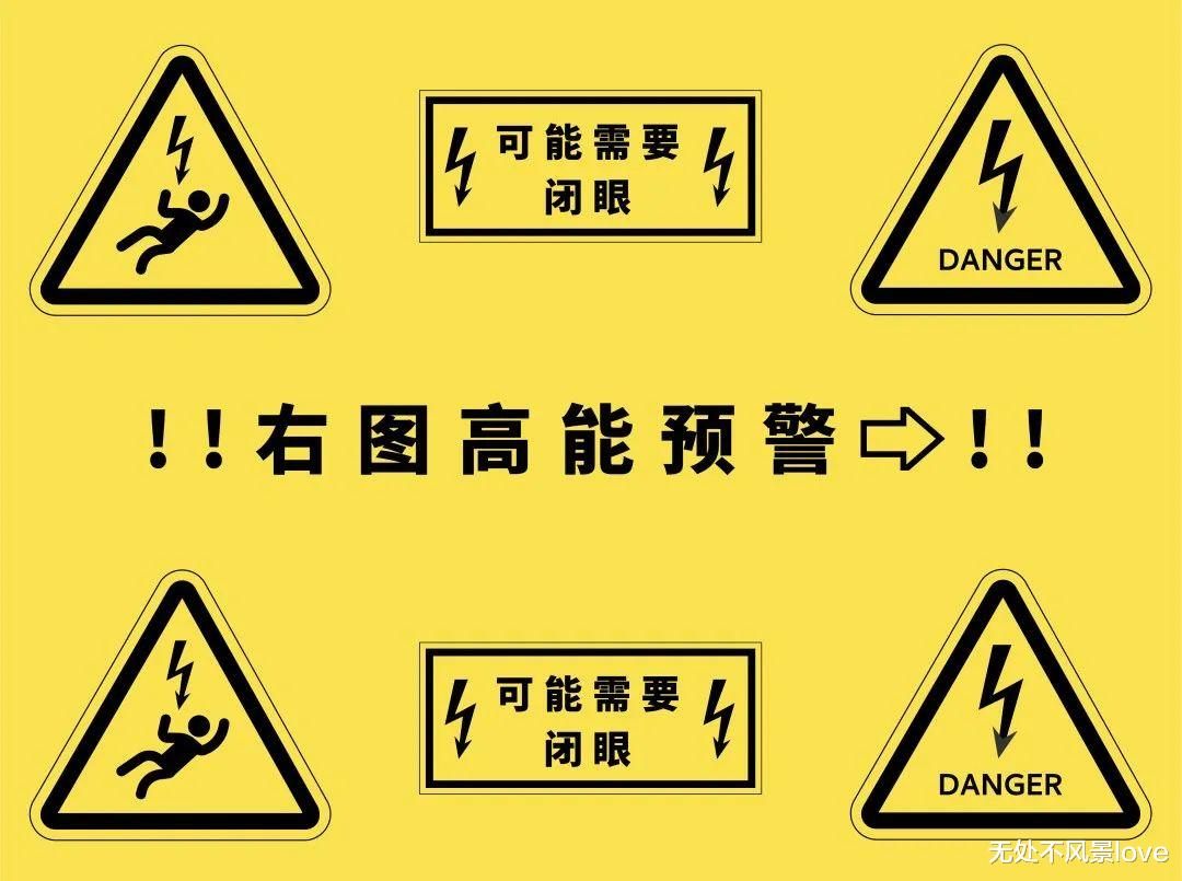 博士用自己的血一天喂3000只蚊子,终一作发Nature揭示“蚊子怎么只咬你”