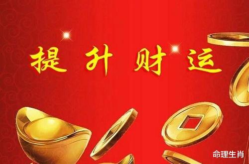 泉州|身旺的,“金水木火土日”,旺财的方位与职业