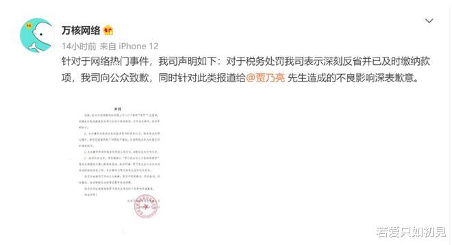 复婚|他们俩是要复婚?