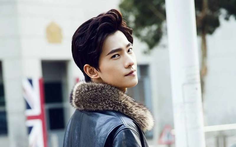 杨洋|杨洋成也是恩师李少红，败也是恩师李少红