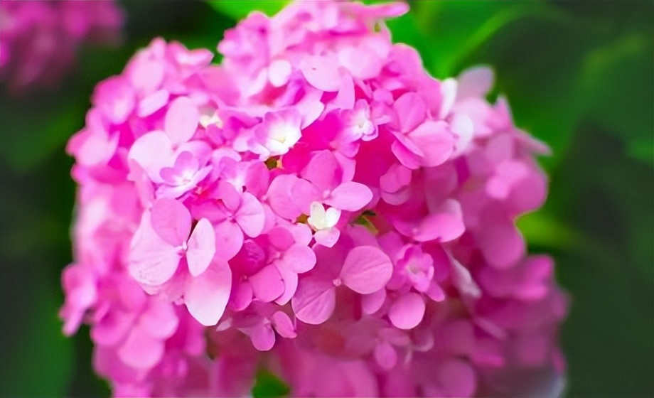 考研|26岁的她放弃考研，结婚5年十分后悔，丈夫说：我没拿刀逼你！