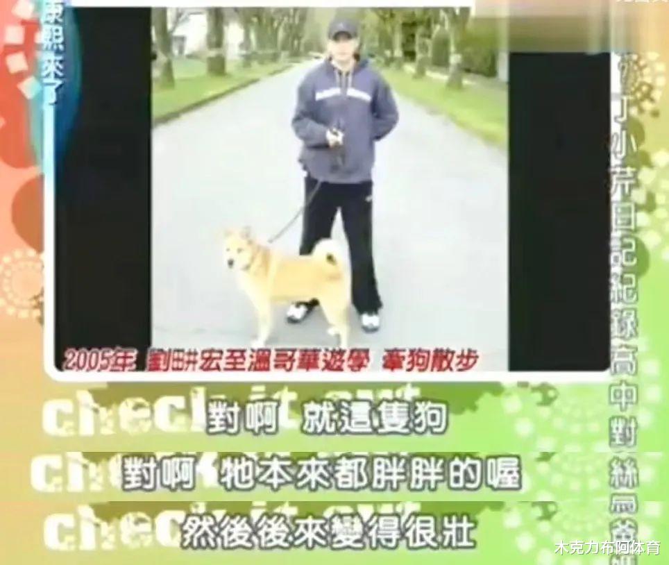 帕梅拉|年赚1亿！帕梅拉，只靠性感爆火6年？