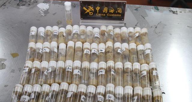 从黑腹果蝇到鳄雀鳝,境外物种频繁输入,对我国生态有何影响