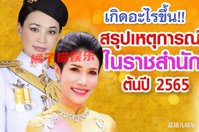 赵丽颖|37岁诗妮娜迎来出镜机会,帮衬储妃尝到甜头,西拉米回归未来可期