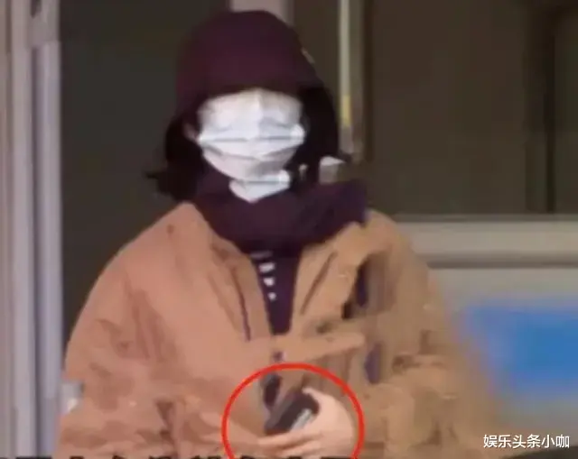 焉栩嘉|他俩恋情爆出，却被全网劝分？