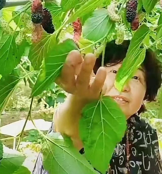 老杜又慌了?杜新枝深夜发动态,公开回应,再遭网友犀利嘲讽