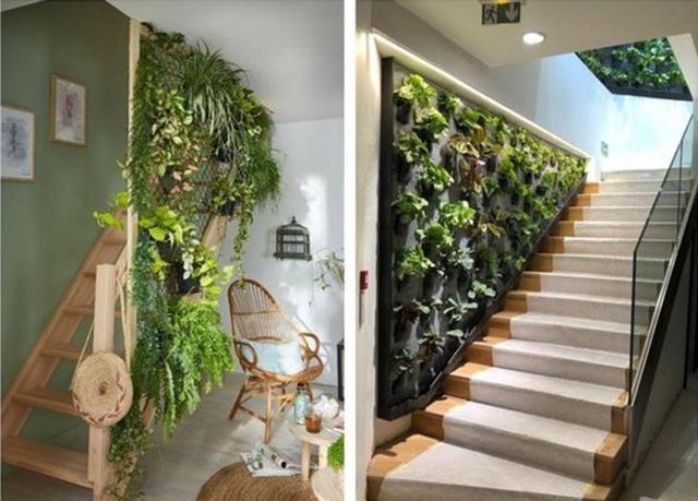 懂生活的人，楼梯通道也放上绿植盆栽，在家像进后花园，赏心悦目