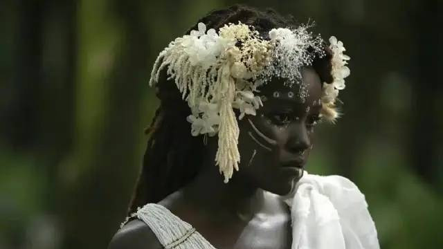 黑豹2|《黑豹2》在政治正确的狂欢面前，人们已失去了判断电影的能力