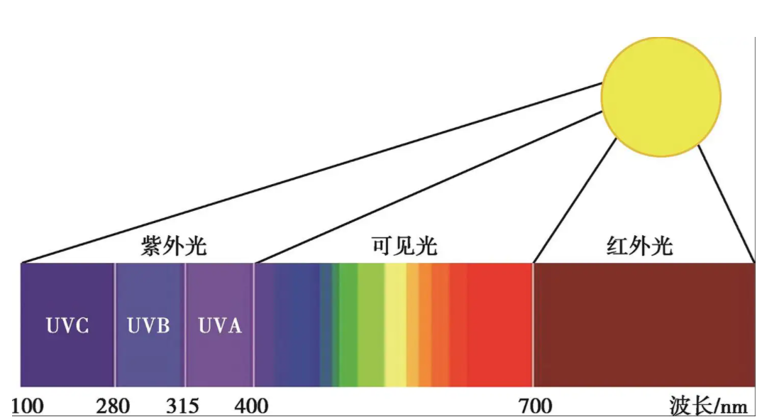 晚年牛顿研究神学:杨振宁承认造物主存在,科学的尽头是玄学吗?
