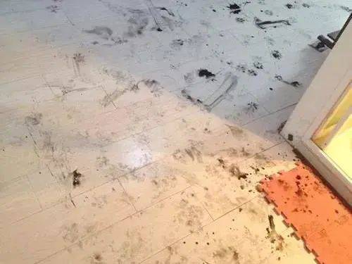 女生最容易遭人嫌弃的“坏习惯”,容易拉低颜值,看你中了几个?