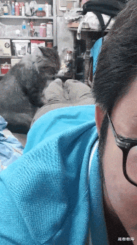 律师|姑娘！你收敛点，这是相亲，不能暴露你的职业呀！