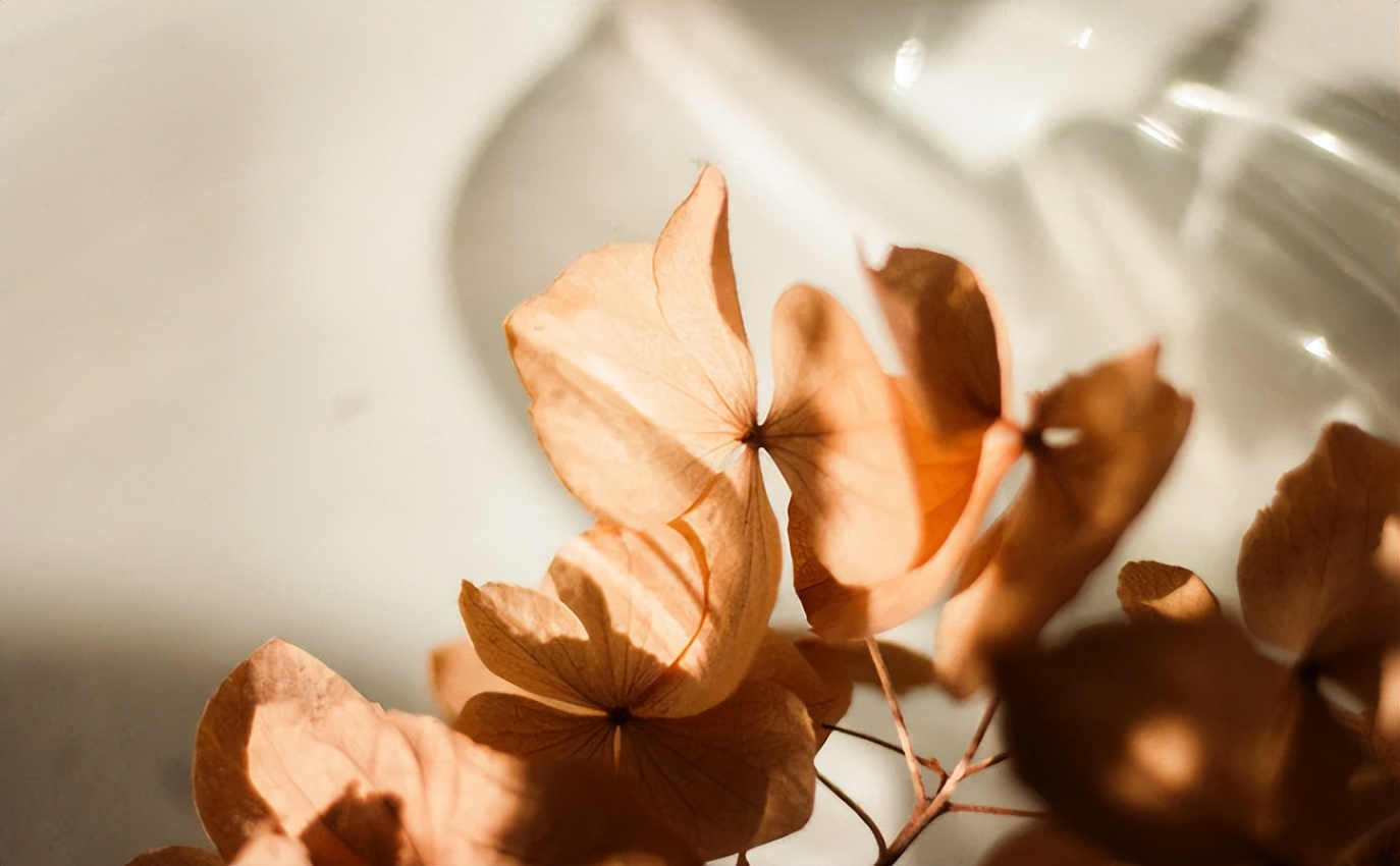 抑郁症|抑郁4年,自残、休学、偷偷服药,我是如何活下来的