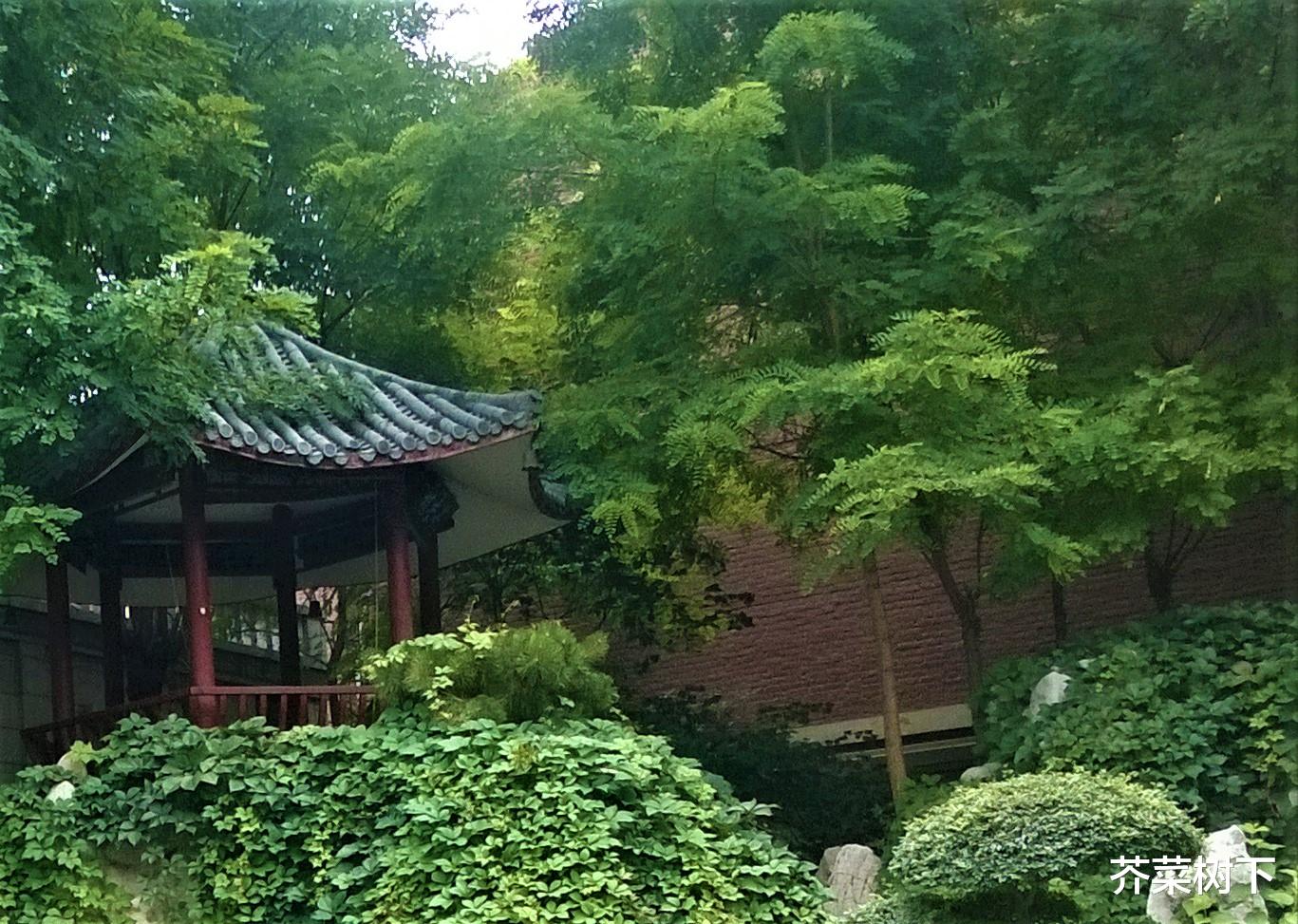 姚劲波|职场的朋友，自己的镜像