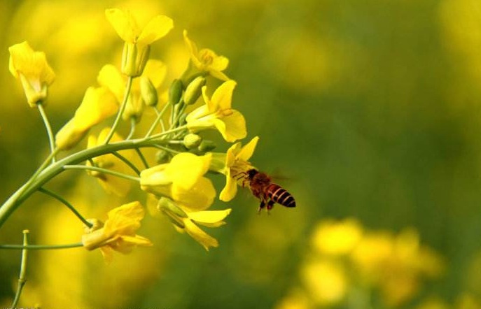 生肖|一生工作不稳定，求财辛苦奔波的生肖人