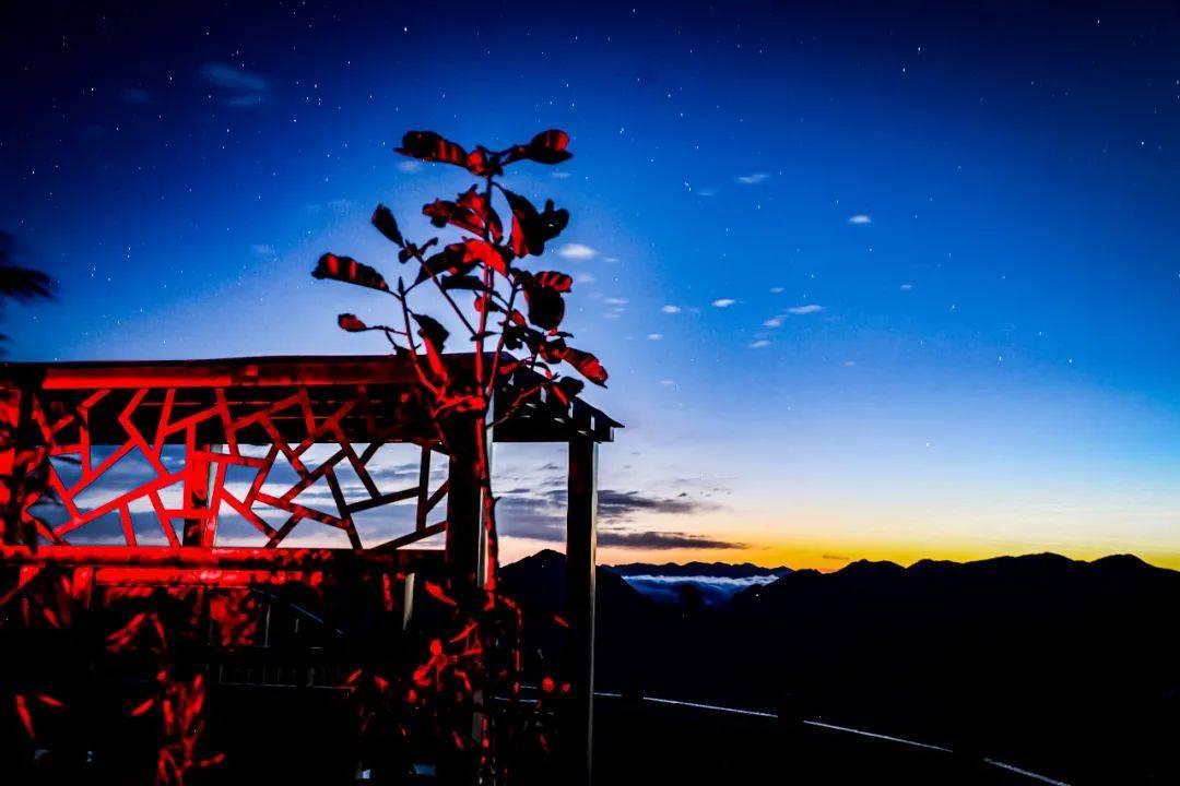 四川省|心动进行时 | 巴山大峡谷秋日云海已上线