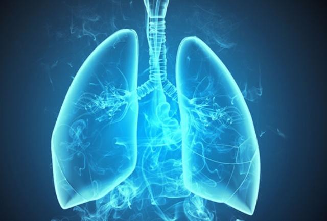 营养膳食|它是肺部“清道夫”,坚持每天吃2口,帮助赶跑烟毒,给肺洗个澡