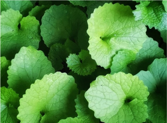 教师|九月开门接喜,阻碍减弱,事业顺利畅达,做啥都能赚的3大生肖!