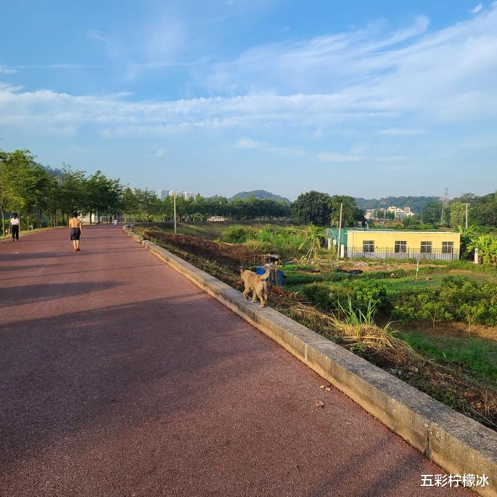 别换！还能再用两年！S20的一年半体验报告。