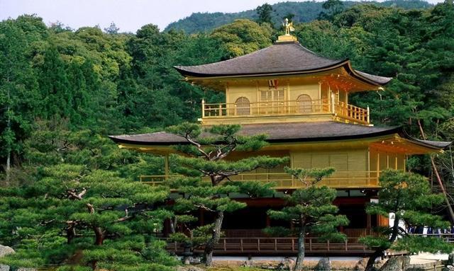 为啥日本房子都不铺瓷砖?内行人知道真相,了解后才知其精明之处