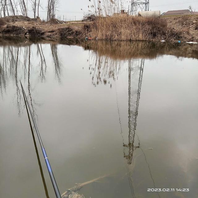 |腥激素小药和团泥,共享鱼窝分享上鱼好运气。