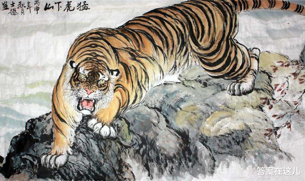 威猛的老虎是“百兽之王”，为什么交配时间，却不超过1分钟？