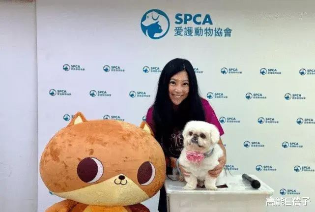 正午阳光|TVB星星同学会 | 95版《神雕侠侣》播出27年，他们又“归去来”了？