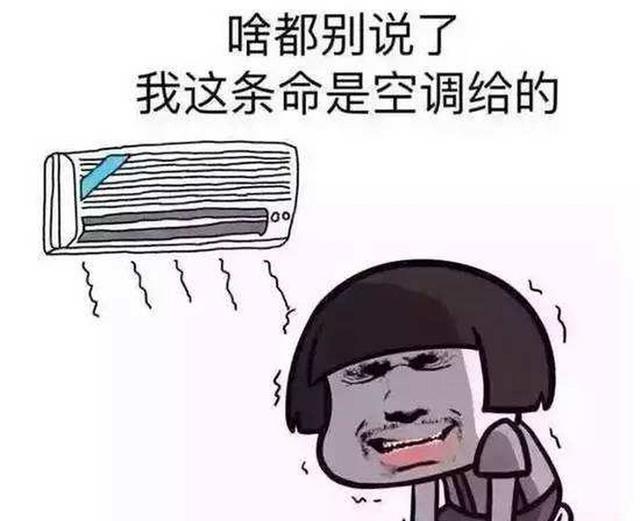 罕见高温入侵全球,美国牛被热死印度鸟被热晕,更极端的还在后面