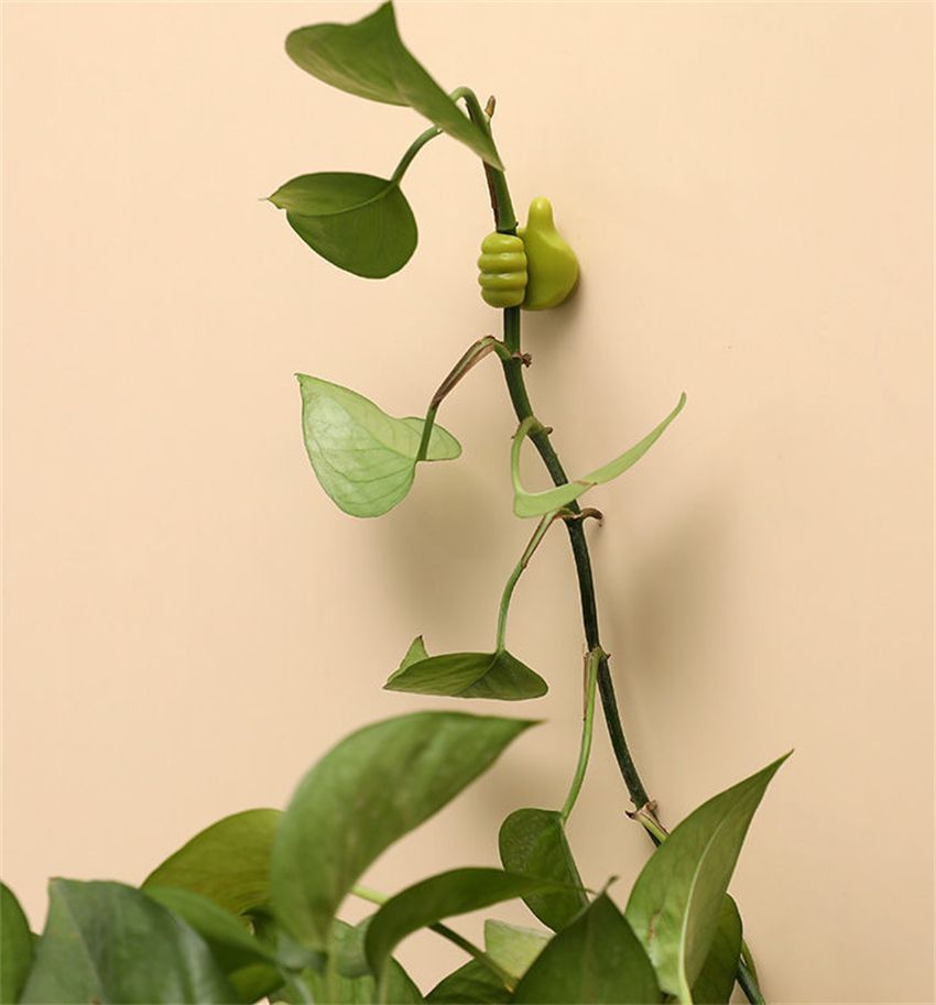 这10件“奇怪”的家居用品，见过的人不多，用过后才知道多爽