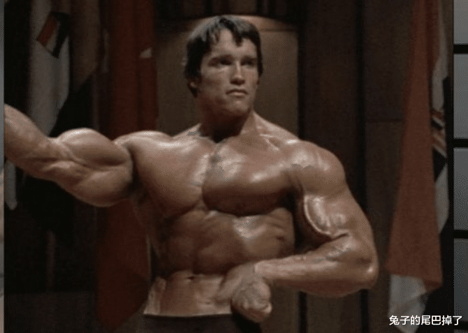 阿诺德·施瓦辛格|《终结者2：审判日》卸下州长的施瓦辛格，为终结者画上美丽的句号！