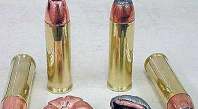 河南|河南老人钓到一“乌龟”，壳上插4箭，专家：一竿钓了18亿