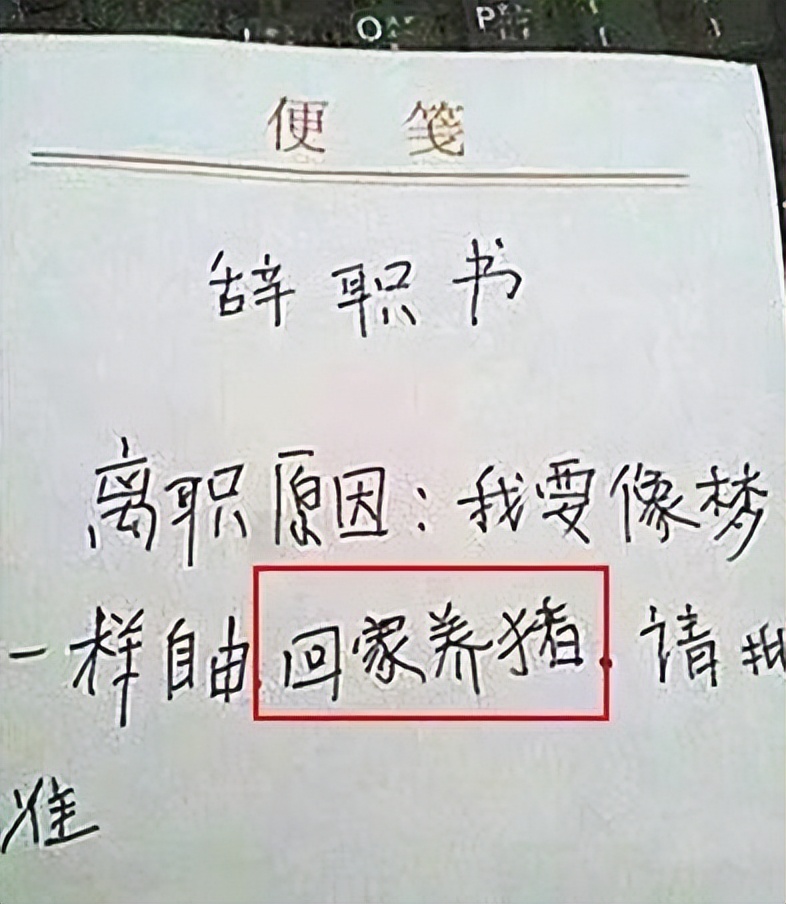 00后|00后的“辞职信”有多绝?理由让人无力反驳,心疼老板一秒钟